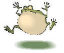 woodentoad's Avatar